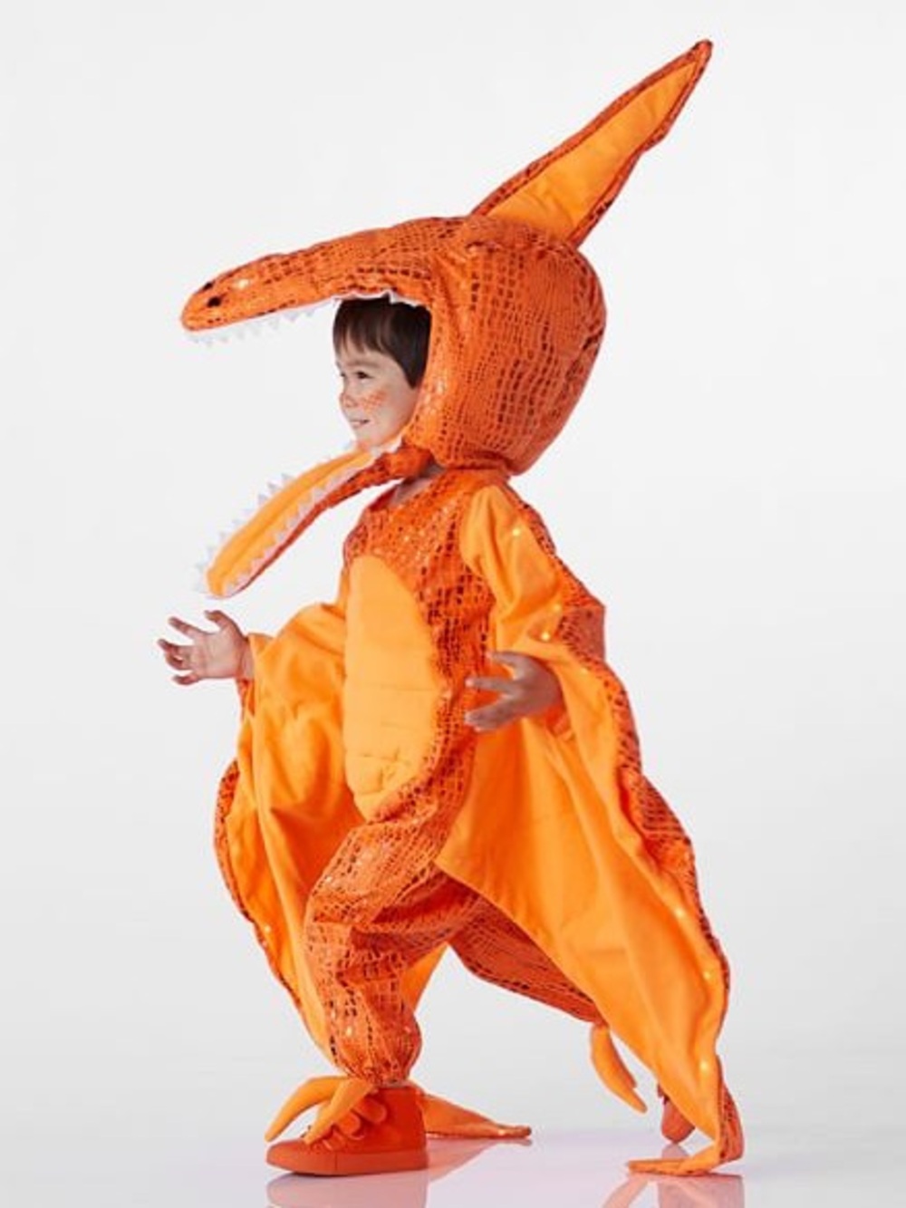 Pottery Barn Kids Light Up Pterodactyl Costume